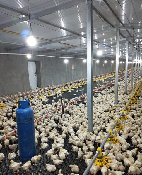 WhatsApp Image 2024-08-16 at 3.53.21 AM (6).jpeg